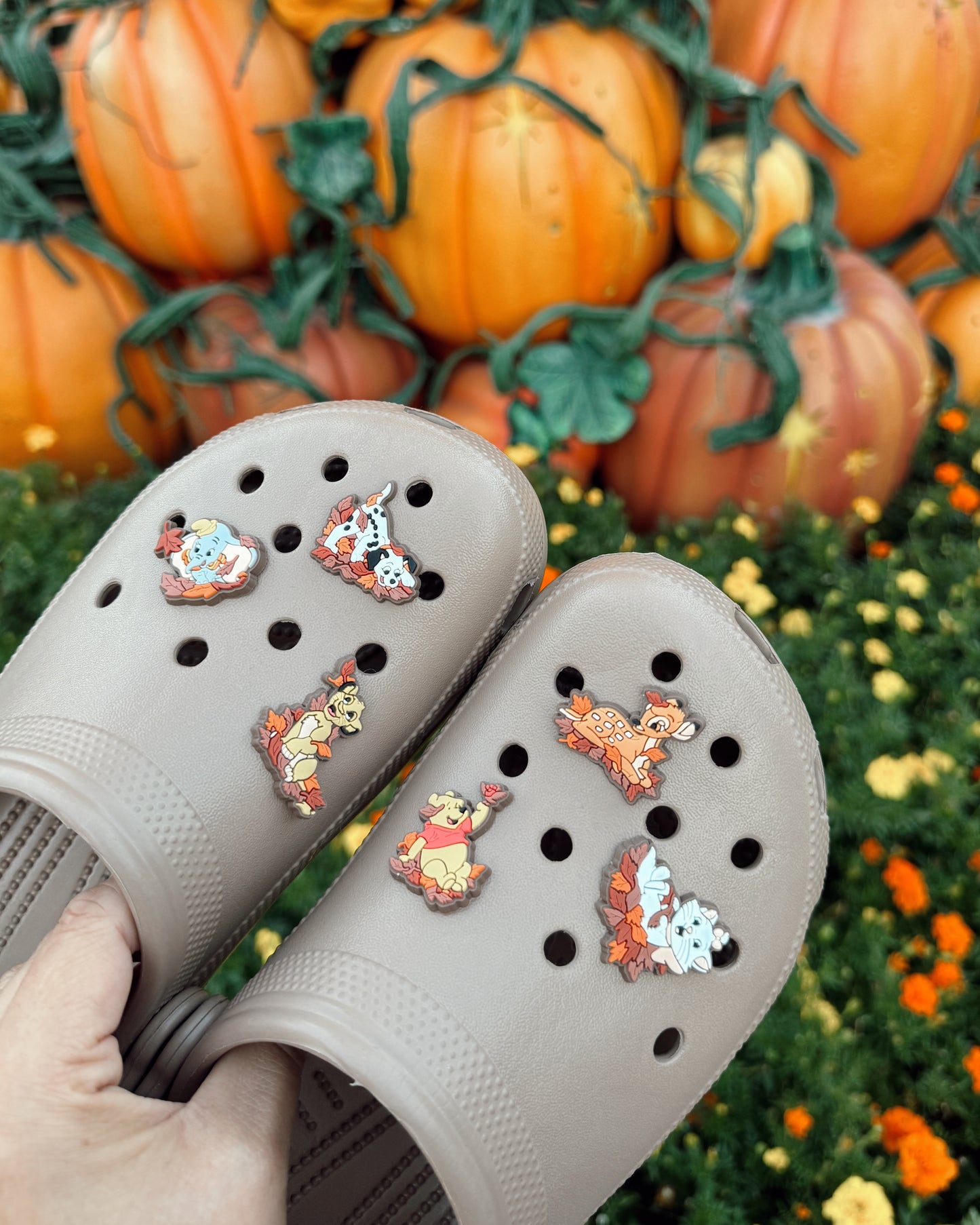 Fall Classics Shoe Charms